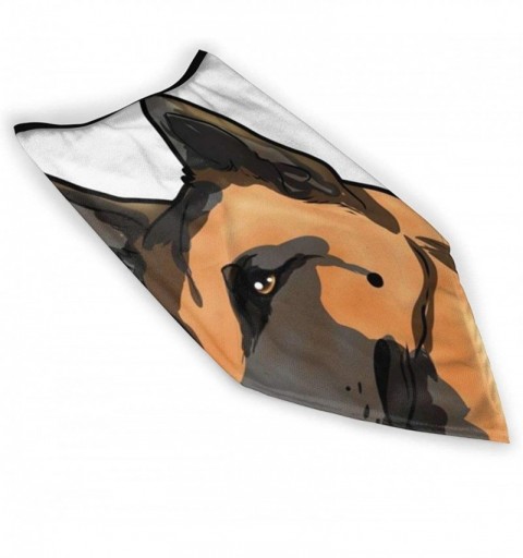 Balaclavas Cute Belgian Malinois Dog Mask Sports Windproof Bandana Face Mask Neck Gaiter Headband- Balaclava Black - CX197SO6...