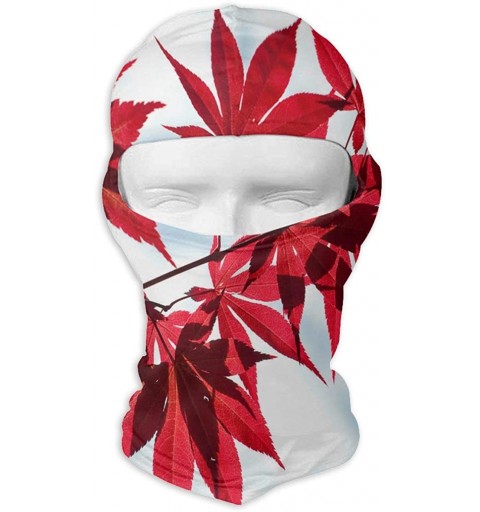 Balaclavas Red Squirrel Full Face Masks Ski Sports Cap Neck Warmer Tactical Hood for Women Men Youth - Pattern10 - C718LHNZHH...