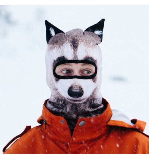 Balaclavas Balaclava Ski Mask- Raccoon - Raccoon - CR12O4KS12O $12.38